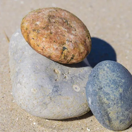 度假居 In With Sauna *